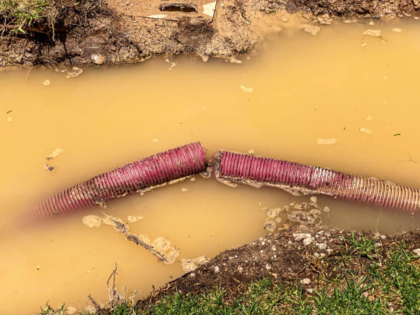  Stockton, KS Water damage restoration Pros